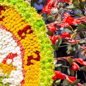 TOUR DE LAS FLORES