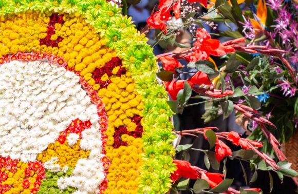 TOUR DE LAS FLORES